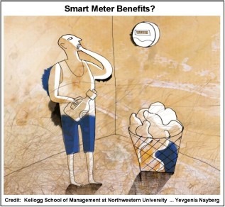 Kellogg Smart Meter Graphic with Credit