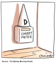 Smart Meter Dunce