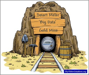 Smart Meter 'Big Data' Gold Mine