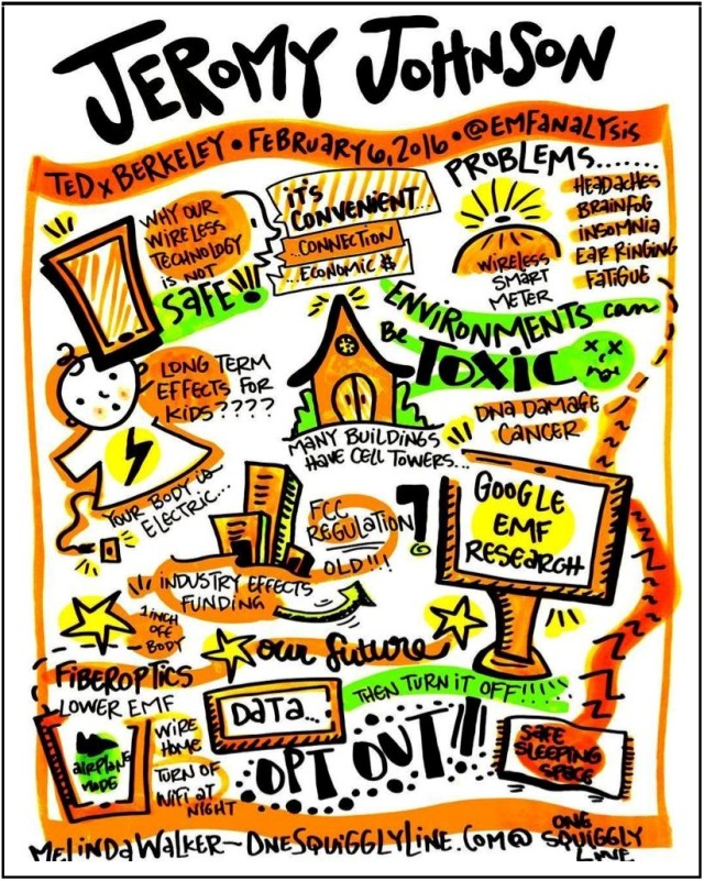 Jeromy Johnson TEDxBerkeley Graphic Recording & Illustration