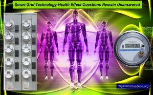 Health of the Body Image plus Smart Meters